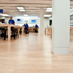White Maple Flooring - Hardwood Flooring