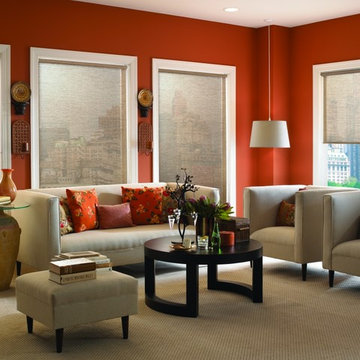 Roller Shades For The Living Room