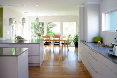 Inspiration for a modern kitchen remodel in DC Metro