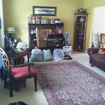 Staging a Living Room in Cary, IL