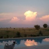 NiKole Armstrong's photo