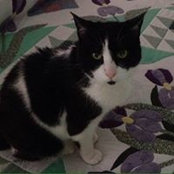 Cindy Hanfbauer-Benward's photo