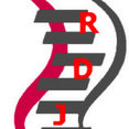 Photo de profil de RDJ CONCEPT MENUISERIES