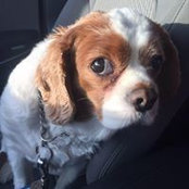 Sara Randhare's photo