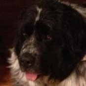 Gail Reitzel's photo