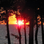 Jocelyne Boone's photo