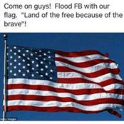 Cathy Gardner's photo