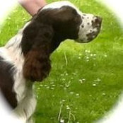 Rose Adcroft's photo