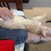 Midge Stout's photo