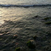 Foto von sameera basit