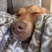 Jill Hertenstein's photo