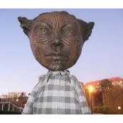 Nicolas Hoarau's photo