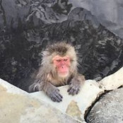 Mark Stivrins's photo
