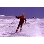 Brian Earle's photo