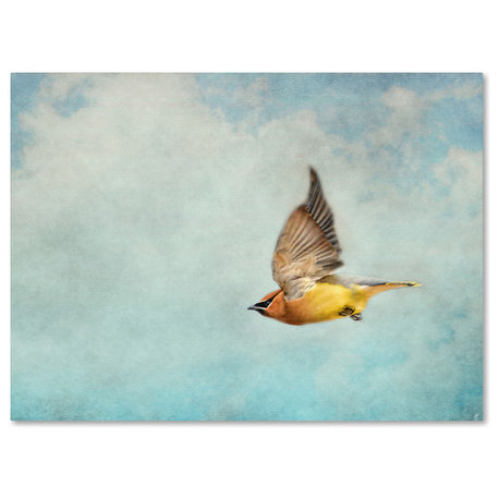 Jai Johnson 'Winter Flight Cedar Waxwing' Canvas Art, 24 x 18