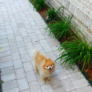 Paver Pathway with Little Dog Beau