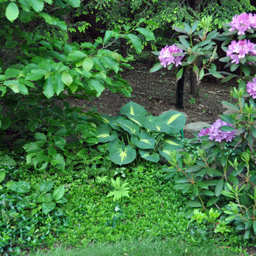 Serenity Garden