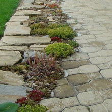 Shady Oaks Driveway, Entry, and Seating Area