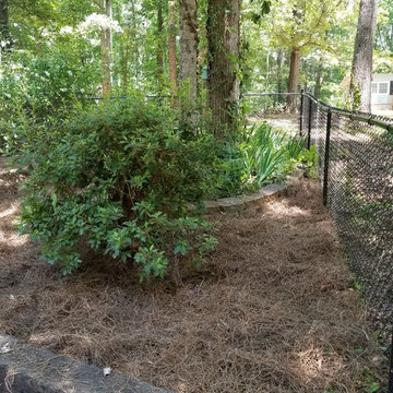 Cleanup and pinestraw