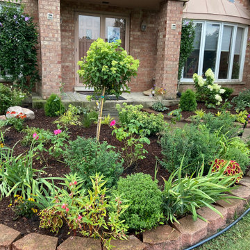 Front yard facelift