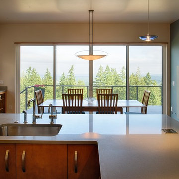 Open kitchen and dining room