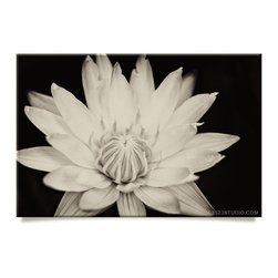 Black and White: Lotus canvas - Prints And Posters
