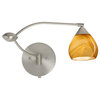 Tay Tay 1wu 1 Light Swing Arm or Wall Lamp, Satin Nickel, Honey Glass