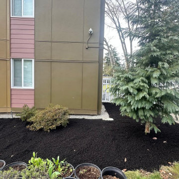 New Project Lawn Maintenance Services 2026