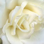 Kayleta Gonsalves's photo