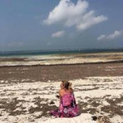 Rondine Molinaro's photo