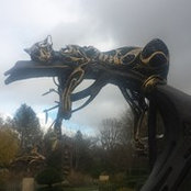 Foto von Lorraine Pennington