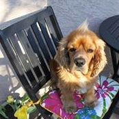 Amy Telebak's photo