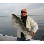 David Portny's photo