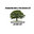 Ground Up Lawn & Tree Service LLC