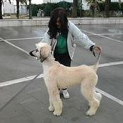 Maria Paola Berardocco's photo