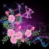 Mary Kurek's photo