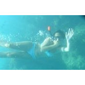 Helen McCarthy's photo