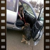 Amy Corwin's photo