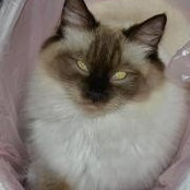 Thomas Glodowski's photo