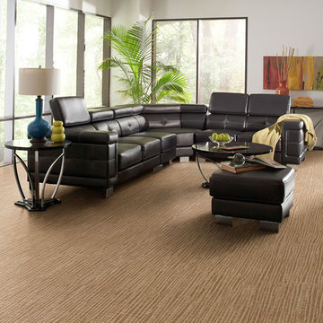 Dabbieri Collection