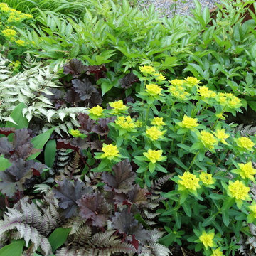 Plant Association