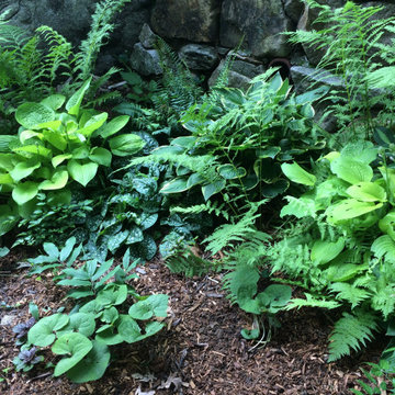 Garden Near the Beach