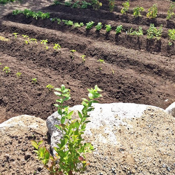 Nomad Gourmet Garden - Upper Tantallon, NS