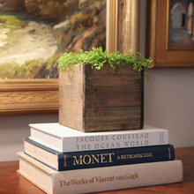 Succulents & Books