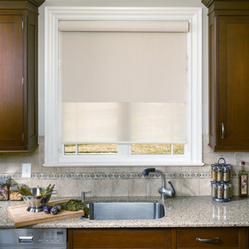 Screen & Roller Shades