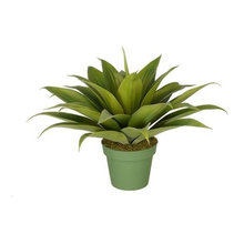 silk succulents