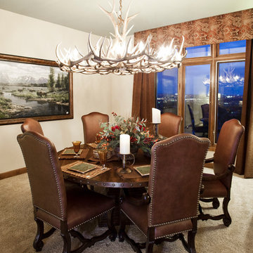 Antler Chandeliers in homes