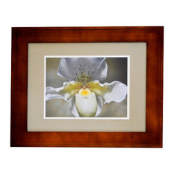 White Orchid - Photographs