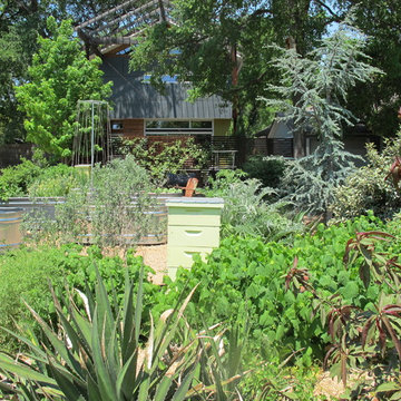 little forest hills farm garden