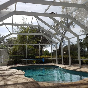 Pool and Enclosure